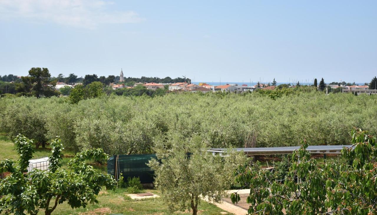 Apartmani Diana Novigrad Istria Exteriör bild