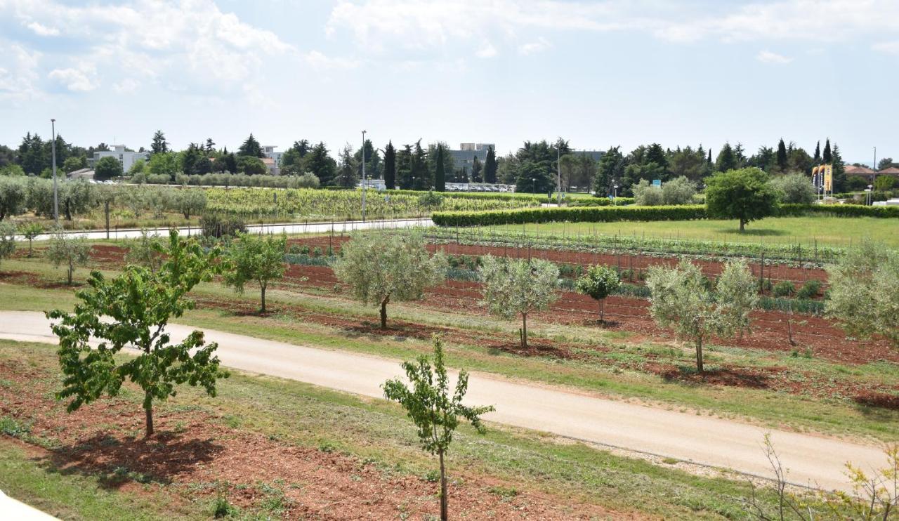 Apartmani Diana Novigrad Istria Exteriör bild